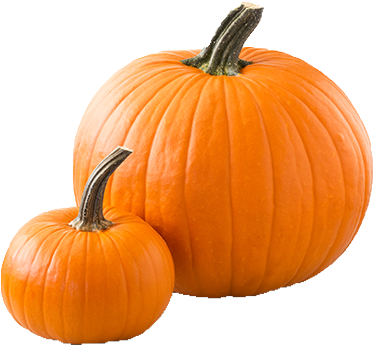 Pumpkins Png - Png Image Pumpkins (389x439), Png Download