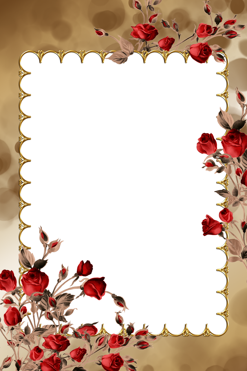 Transparent Thanksgiving Borders And Frames Pictures - Psd (853x1280), Png Download