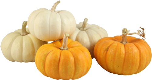 Gourd Small Pumpkin Clipart Royalty Free Library - Small Pumpkins Png (500x350), Png Download