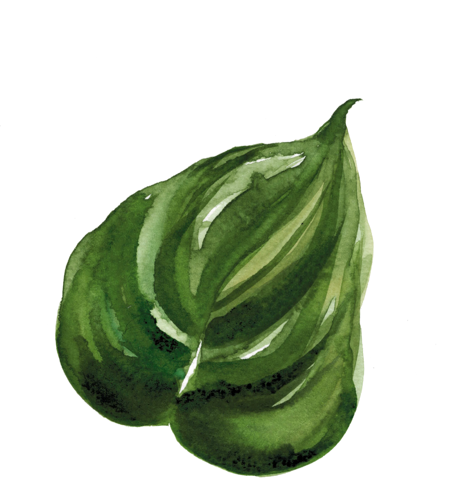 2018 Carly Zach // Louisville, Ky - Watercolor Paint (1823x2048), Png Download