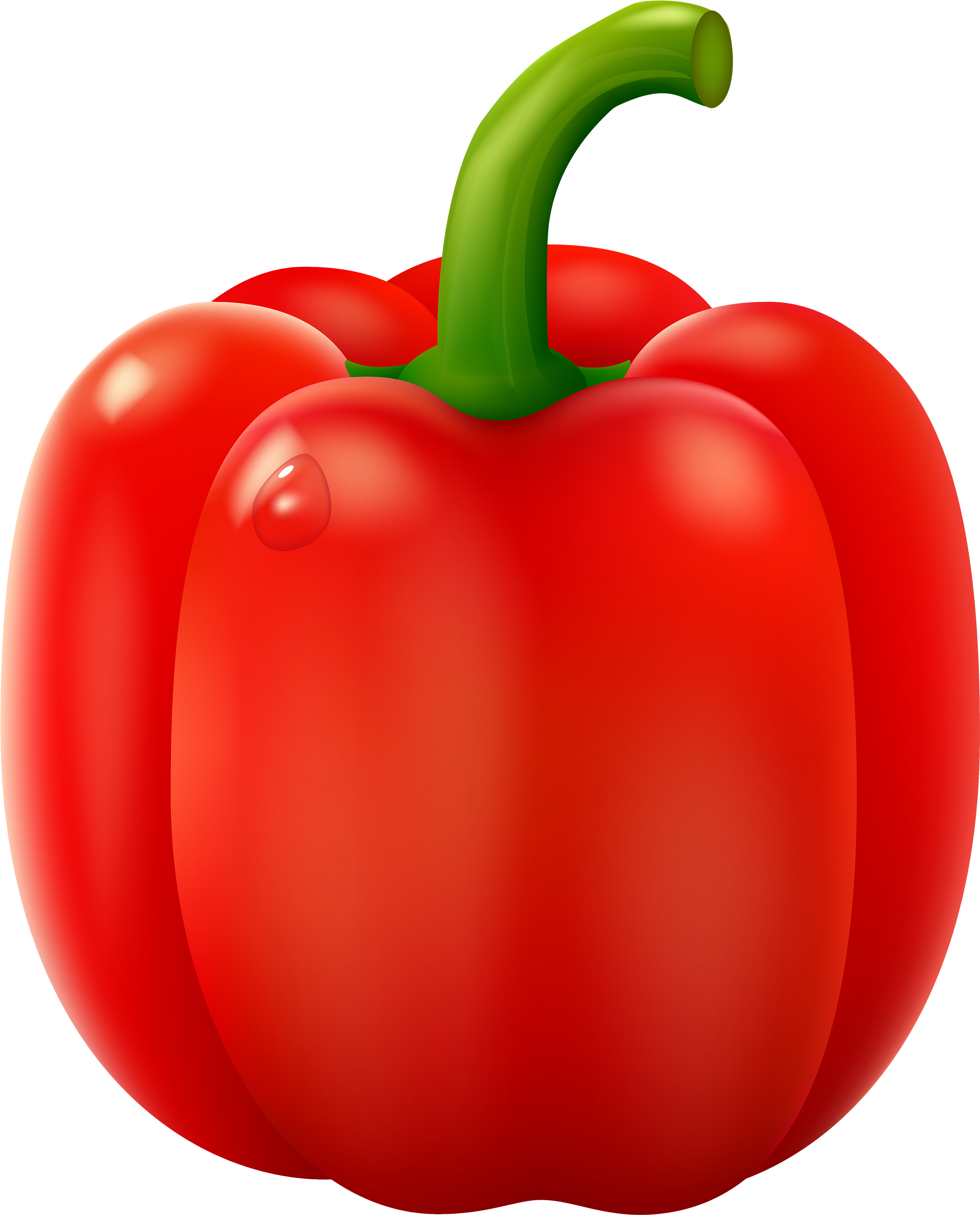 Banner Transparent Download Red Png Clipart Best Web - Red Pepper Clipart (2420x3000), Png Download