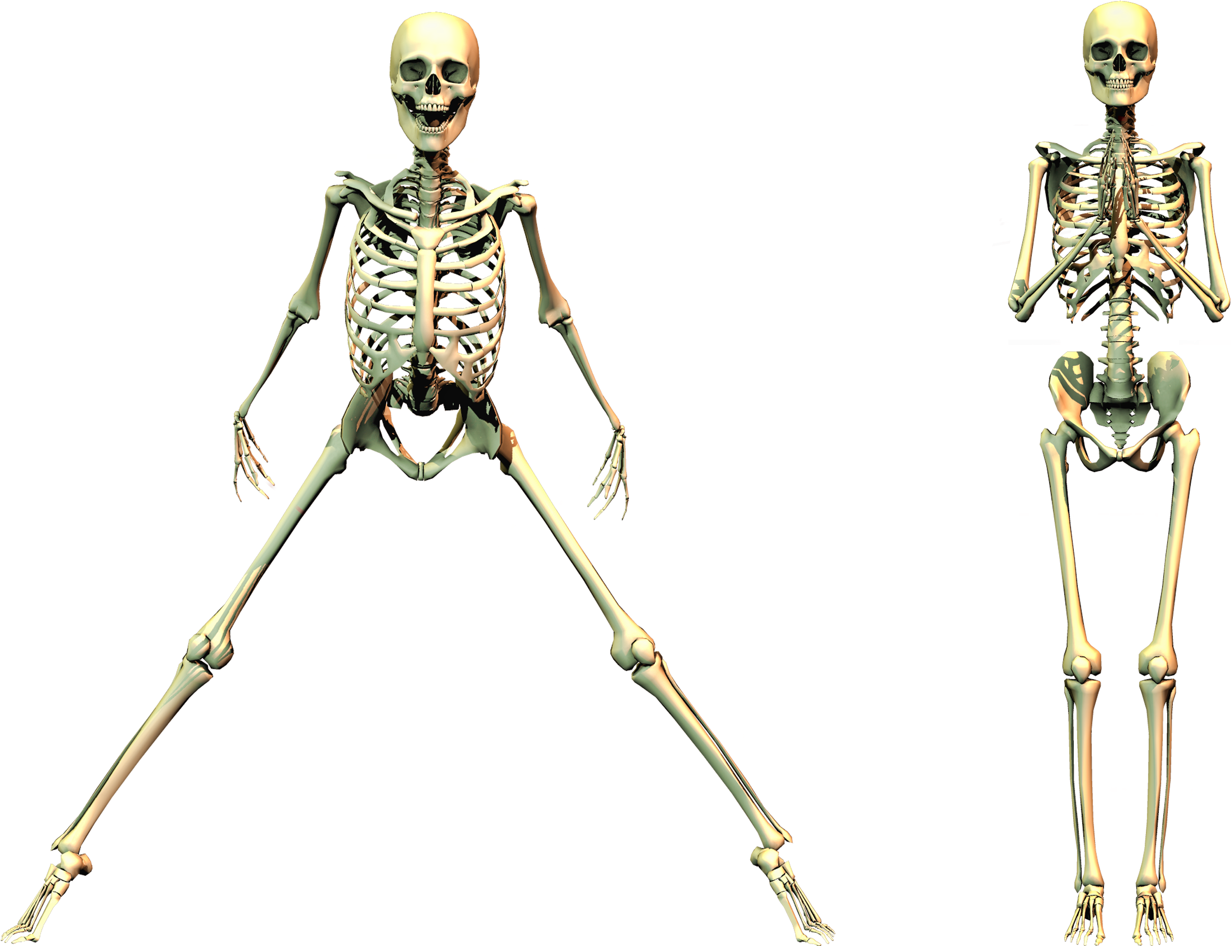 Spooky Skeleton 04 Png Stock - Spooky Skeleton Png (2806x1984), Png Download
