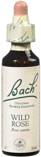 Florais Wild Rose - Bach (500x500), Png Download