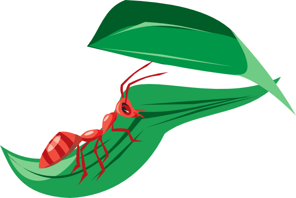 Ant On The Leaf Clipart (600x401), Png Download