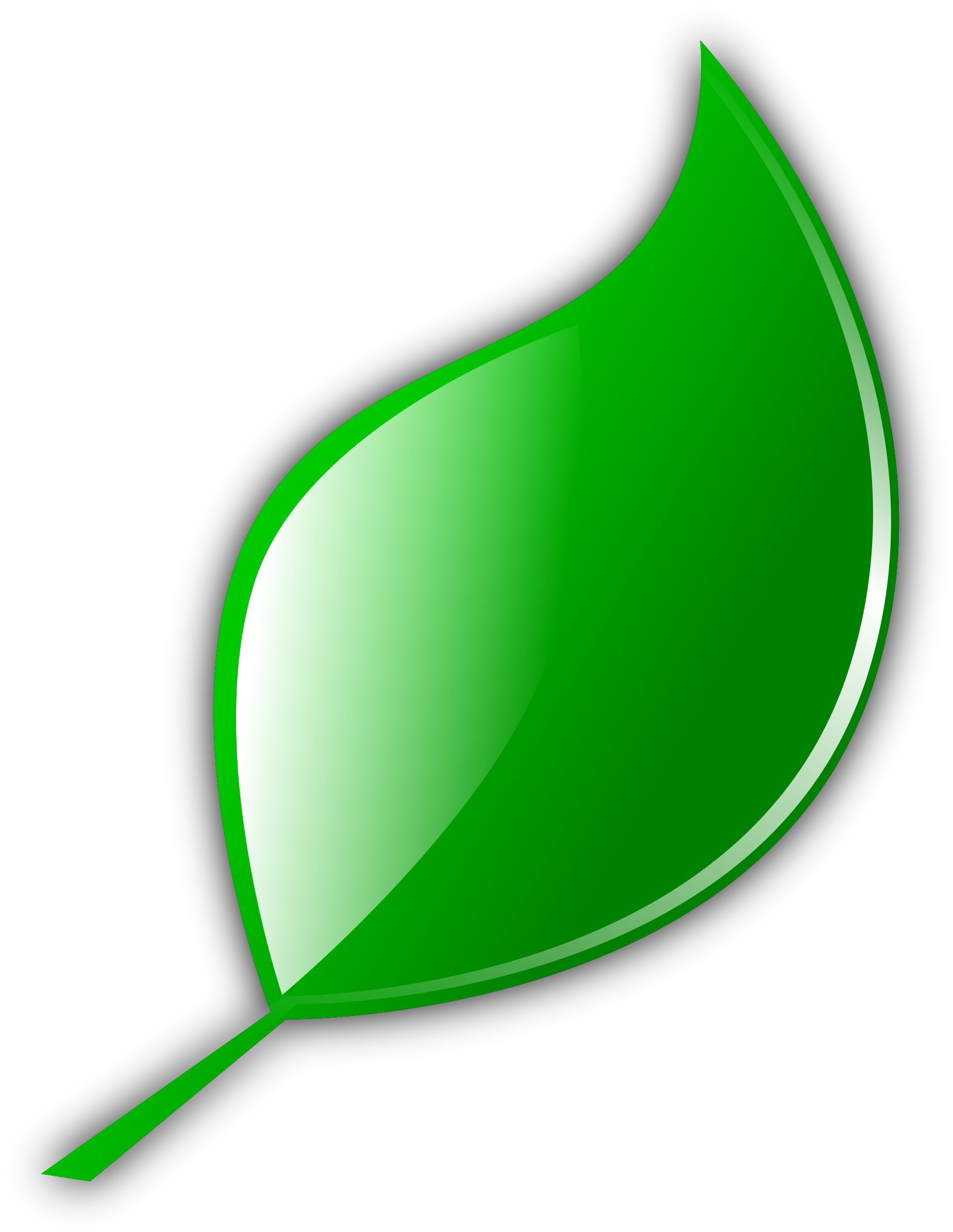 Big Image Png - Cartoon Leaf (1883x2400), Png Download