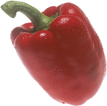 Pepper Free Png Image - Single Vegetables With Names (385x387), Png Download