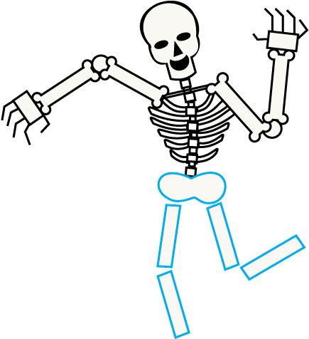 Drawn Skeleton Line Drawing - Cartoon Skeleton Transparent (678x600), Png Download