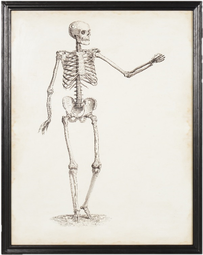 Picture Library Stock This Pair Of Skeletons - Skeleton (615x697), Png Download