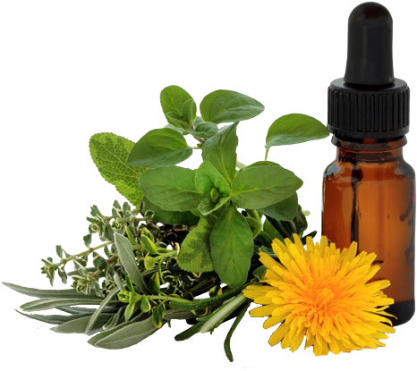 Imagenes De Medicina Naturista (500x452), Png Download