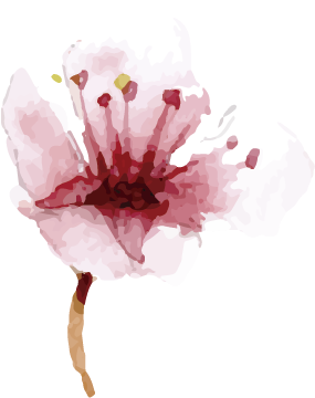 Watercolor Paint (367x436), Png Download