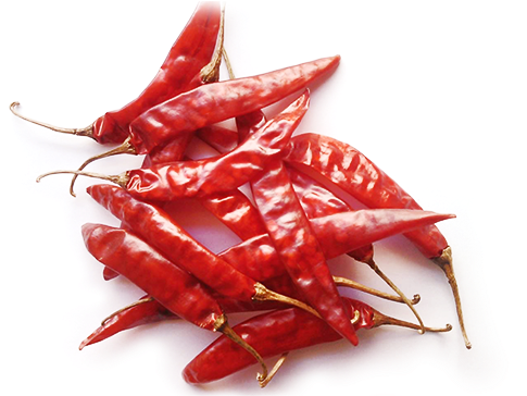 Red Chilly - Dry Red Chili (500x450), Png Download