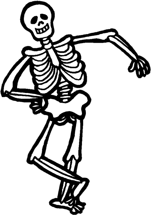 Halloween Usa 2018 Png Free Download - Human Skeleton Clipart (576x830), Png Download