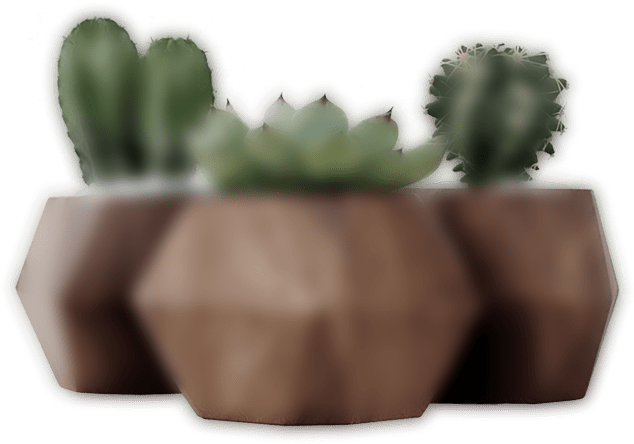 Dark Slider 3 Plant - Hedgehog Cactus (700x526), Png Download