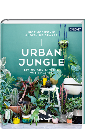 Our First Book - Urban Jungle: Living And Styling With Plants (351x428), Png Download