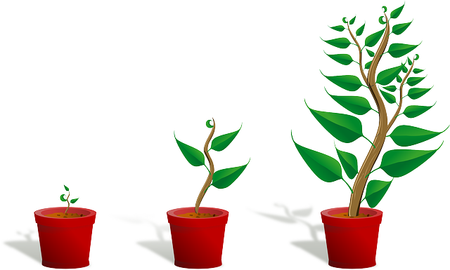 Sapling, Plant, Growing, Seedling, Growth, Potted Plant - Getting To Know Plants (640x385), Png Download