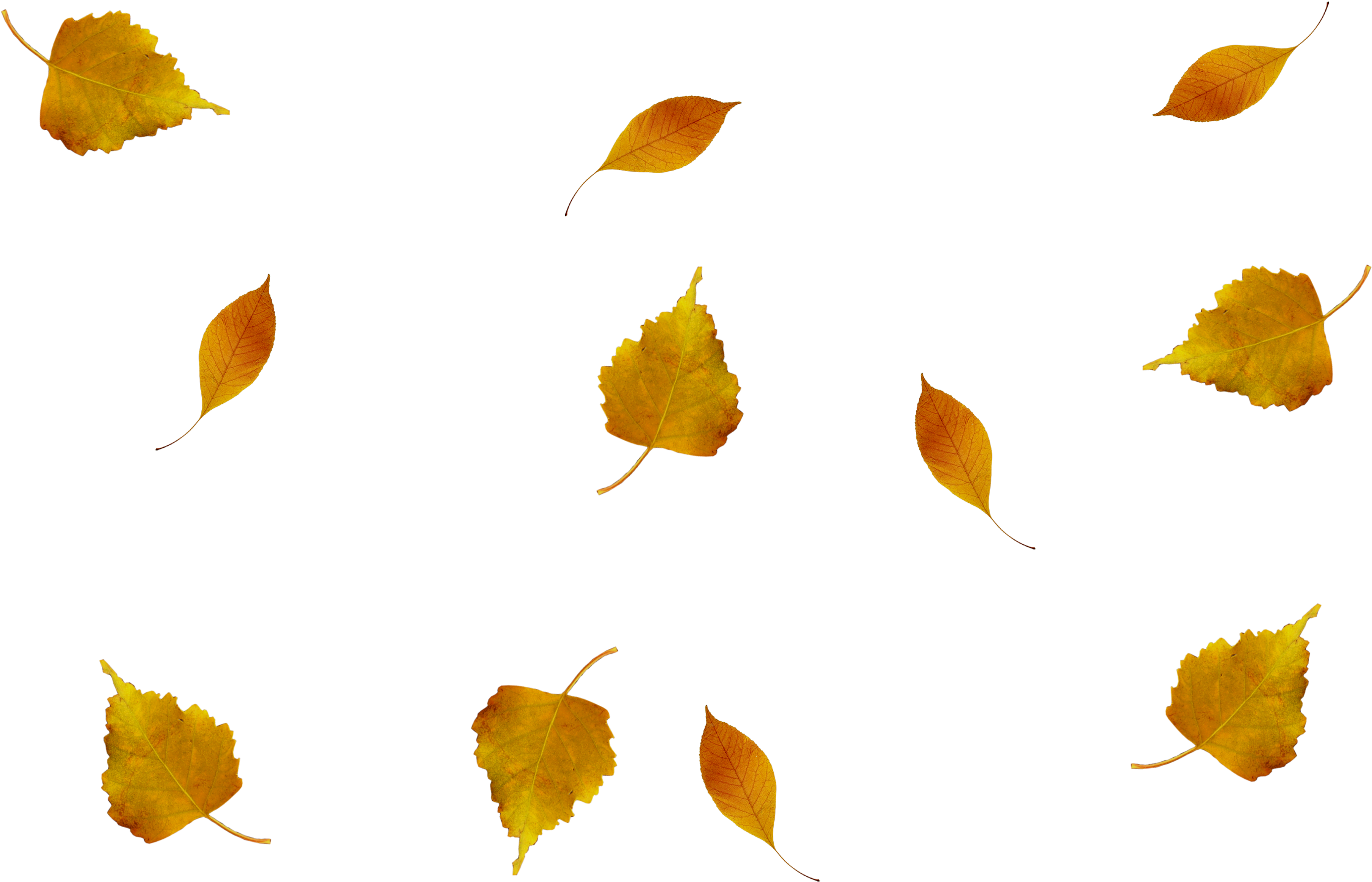 Composition, Photoshop, Autumn Leaves - Hojas De Otoño Volando Png (3160x2080), Png Download