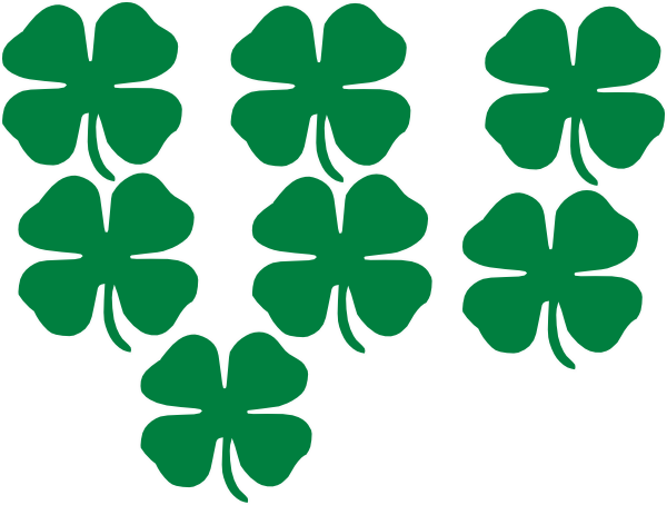 Shamrocks Clip Art At Clipart Library - Shamrocks Clip Art (600x454), Png Download