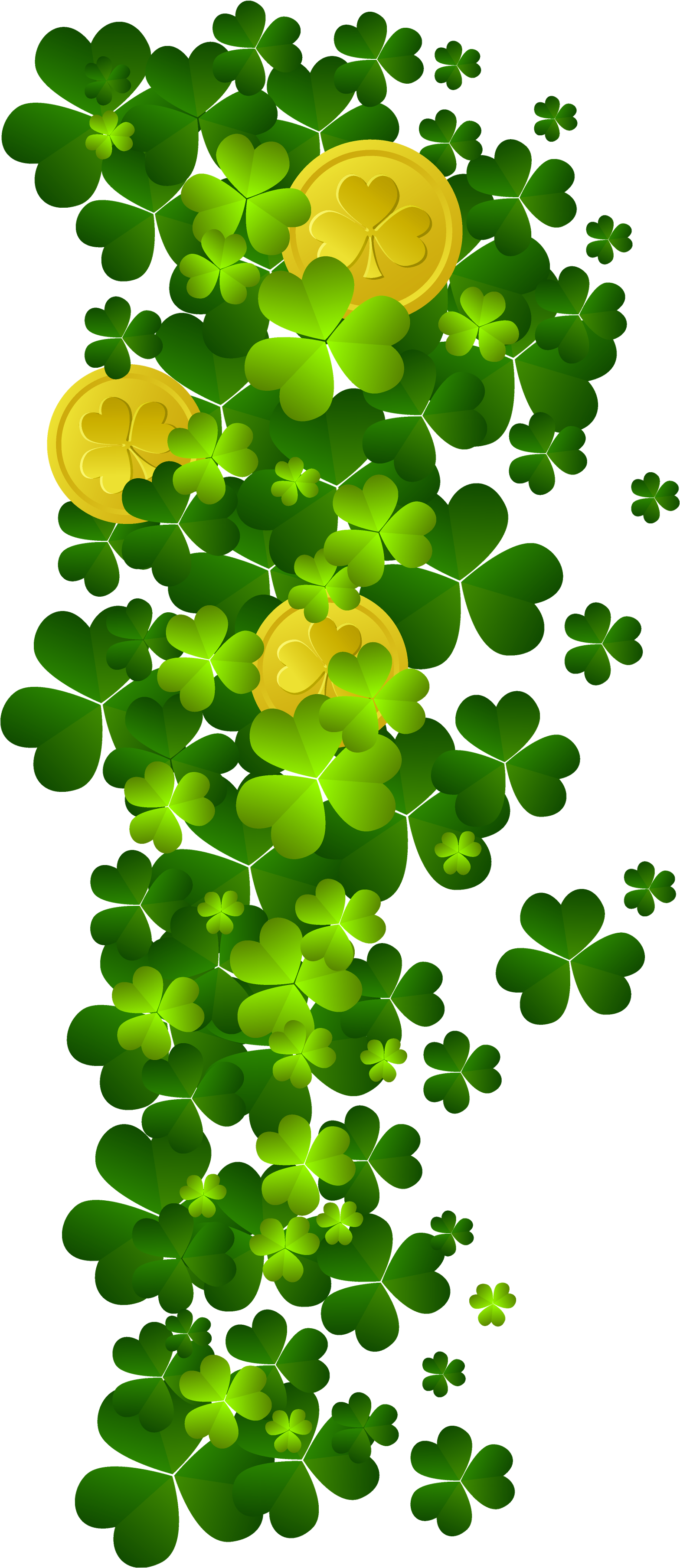 Pin By Kim Heiser On St - Coins St Patrick Png (322x600), Png Download
