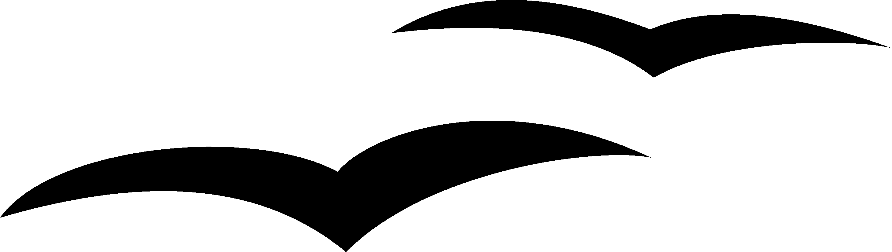 Overview Fancy Underline For Word - Seagull Silhouette Clip Art (2911x825), Png Download