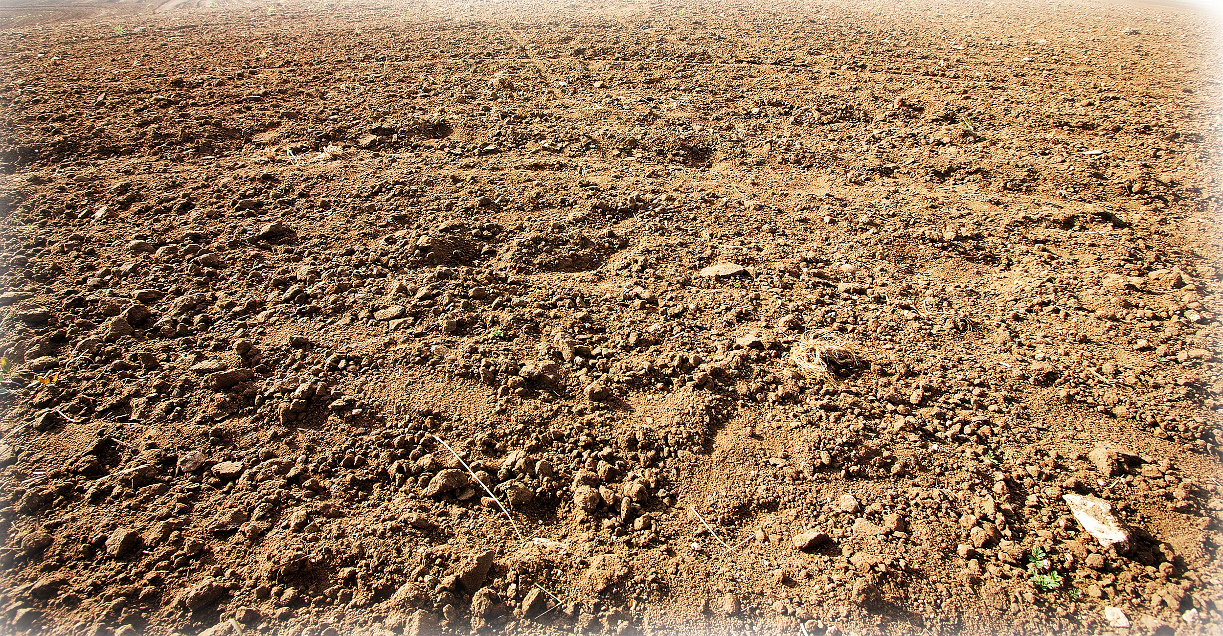 See Color Reference - Ground Texture (2500x1300), Png Download