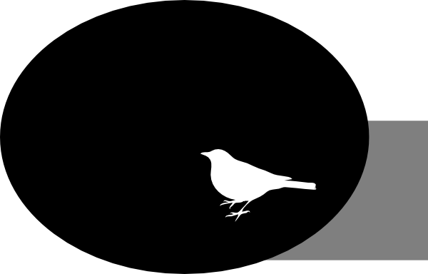 White Bird On Black Background Clip Art - White Bird On Black Background (600x384), Png Download