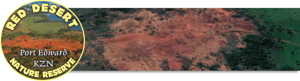 Outcrop (990x268), Png Download