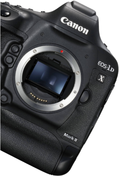 High Quality Content For Your Business - Angle (400x795), Png Download