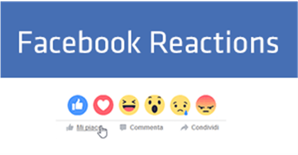 Funny Pictures For Facebook (588x480), Png Download