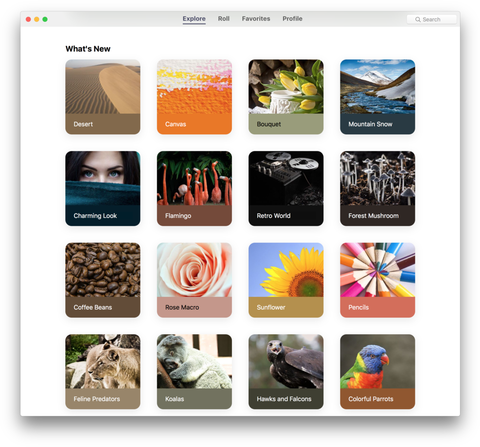 Wallpaper Wizard Explore What's New (1000x928), Png Download