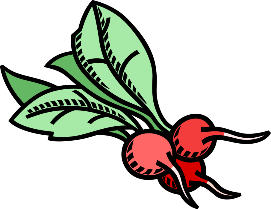 More In Same Style Group - Clip Art Gemüse (905x700), Png Download