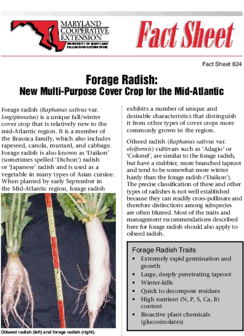 A New Multi-purpose Cover Crop For The M - Tree (600x776), Png Download