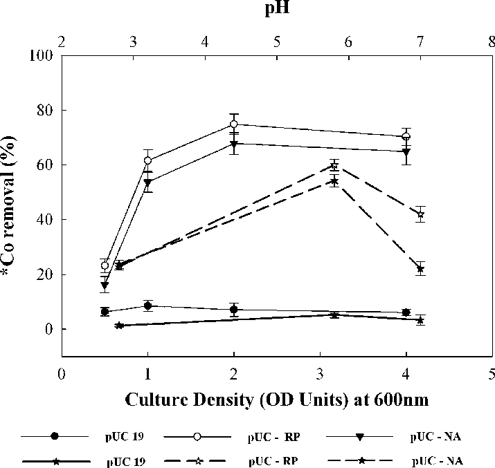 Plant Diagram Labeled Beautiful Floral Diagram - Diagram (715x677), Png Download