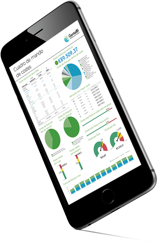 Cuadros De Mando Con Demos Predefinidas, Para Empresas - Pda (581x848), Png Download