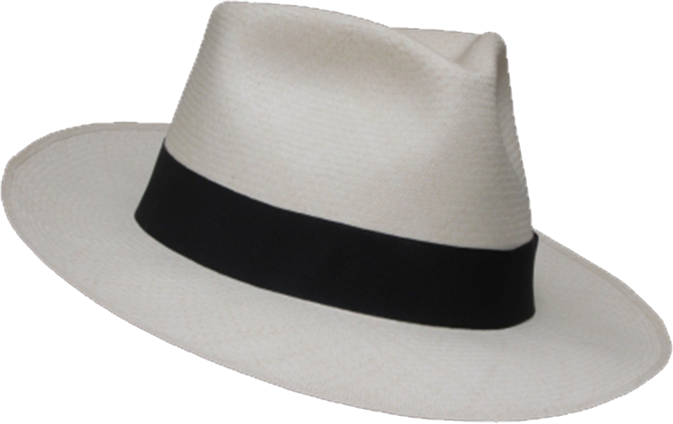 Panama Hat Diamante Fino - Panama Hat Png (1200x900), Png Download