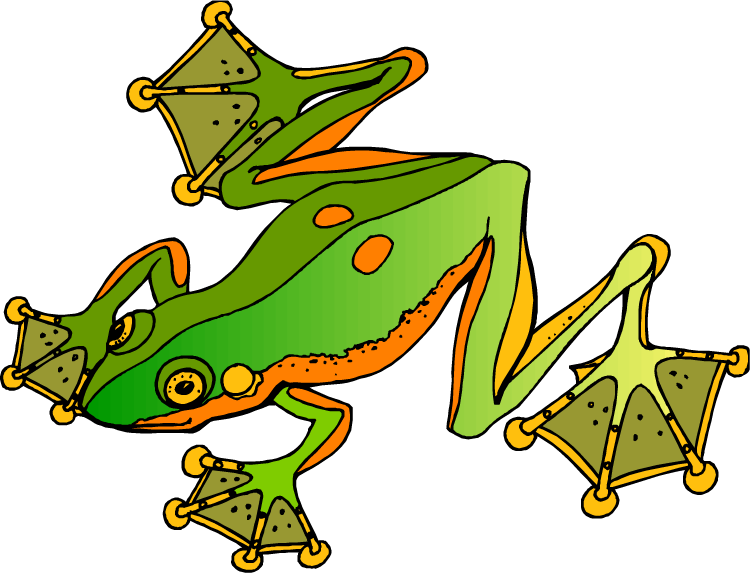 Tree Frog Clipart Pet Frog - Cartoon Toad Feet (750x573), Png Download