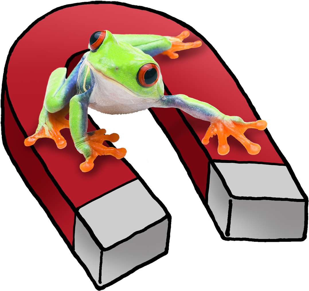 Meet A Clingy Red-eyed Tree Frog With A Magnetic Personality - Cartoon (1200x1073), Png Download