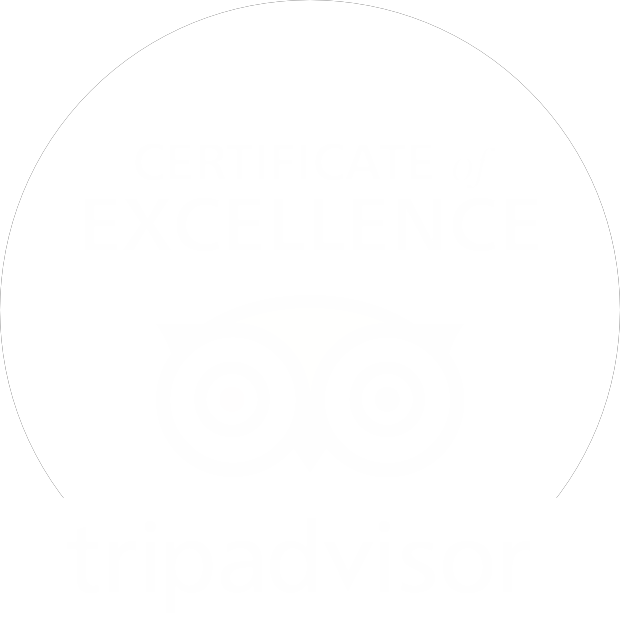 Tripadvisor 2016 Certificate Of Excellence - Trip Advisor (620x620), Png Download