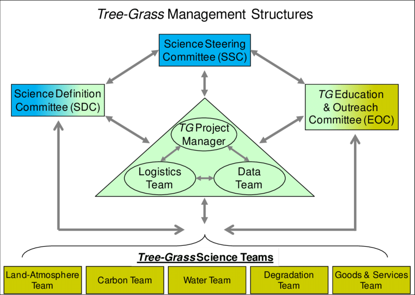 Management And Organizational Structures For Tree-grass, - Diagram (850x606), Png Download
