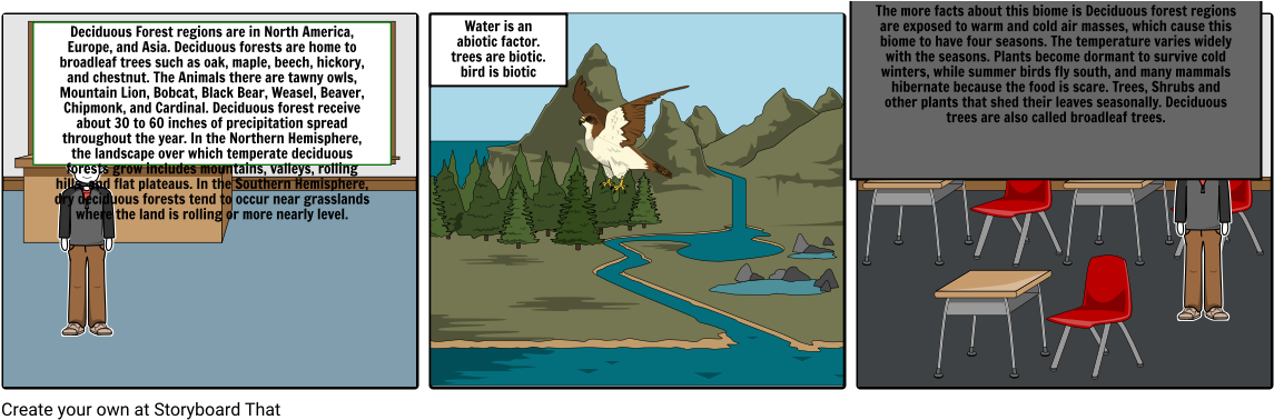 Storyboard - Tree (1164x385), Png Download