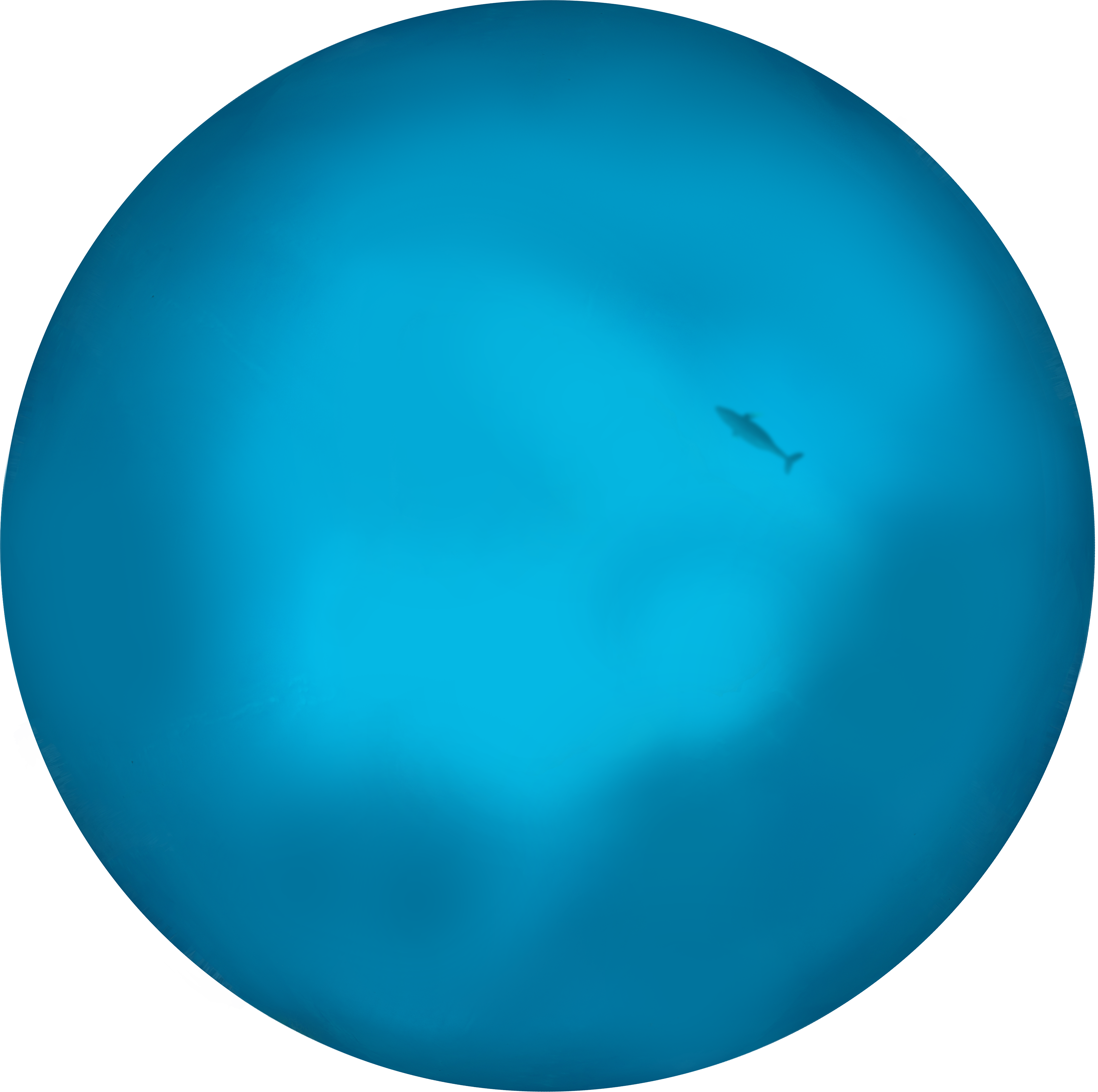 Catering To The Needs Of Various Commodities Like - Circle (4008x3987), Png Download