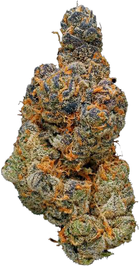 Cookies - Acapulco Gold (600x600), Png Download