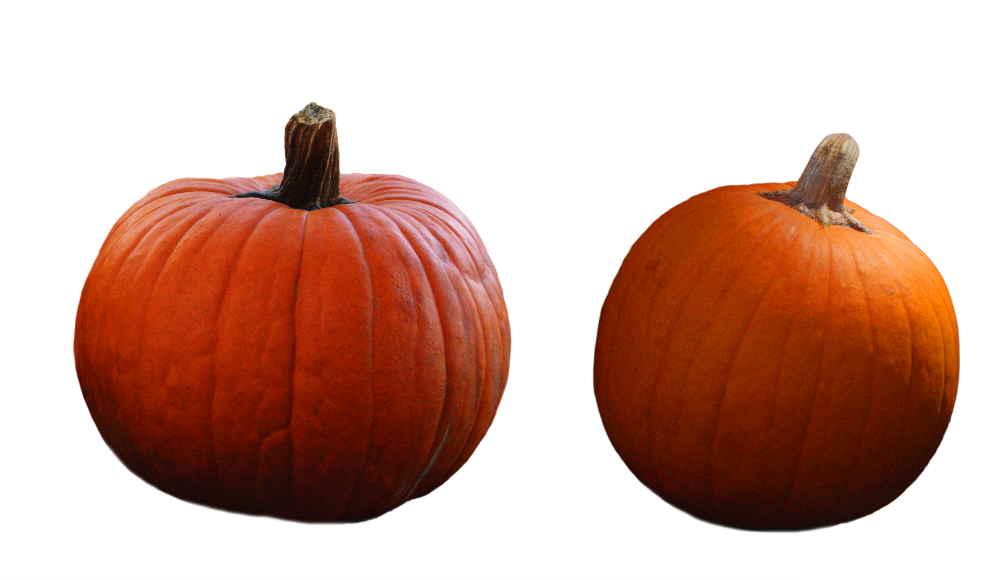 Pumpkin Image - Pumpkin (1024x685), Png Download