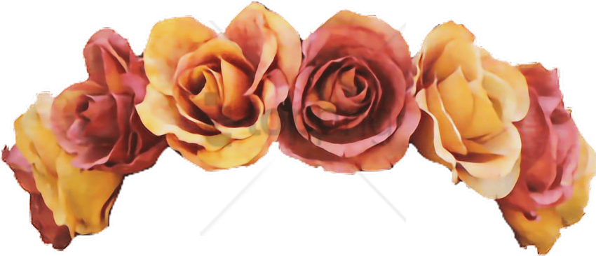 Free Png Yellow Flower Crown Transparent Png Image - Flower Crown Cut Out (850x366), Png Download