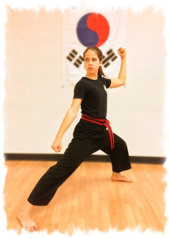 Why Tae Kwon Do - New Style World Taekwondo (565x813), Png Download