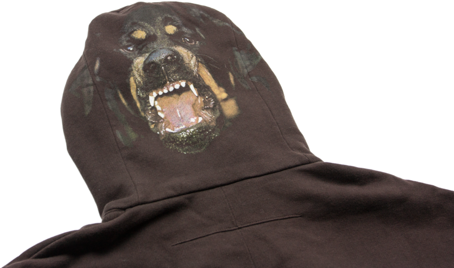 Sea Lion (1024x683), Png Download