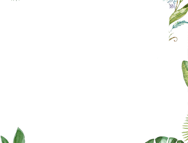 Drawn Leaves Leaf Border Png - Illustration (640x480), Png Download