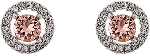 Miss Miranda - Vintage Rose - Earrings (1000x1000), Png Download