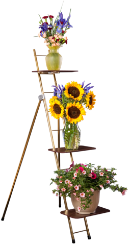 46 - Bouquet (800x500), Png Download