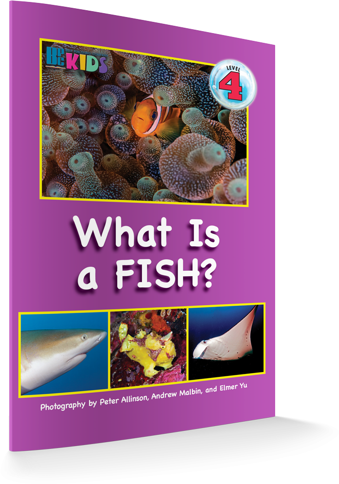 What Is A Fish Revisesd Edition 3d Cover - Fish (711x1000), Png Download