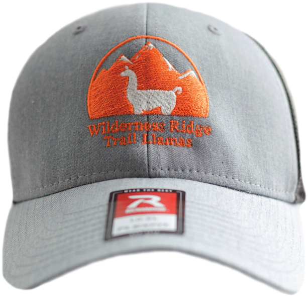 Wrtl Grey Front Logo Trucker Hat - Baseball Cap (800x800), Png Download